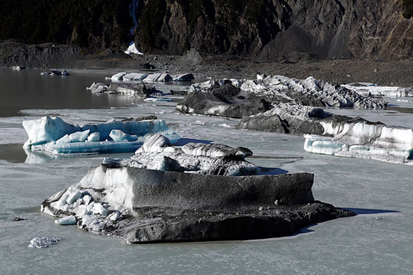 Tasman Lake Icebergs